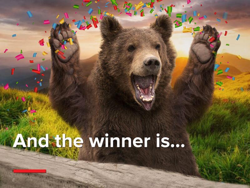 Winners of Laser Display Industry Survey