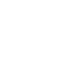 Ethernet cable icon