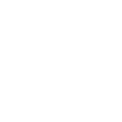 Mains Cable Icon