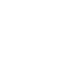 Quality certificate Icon