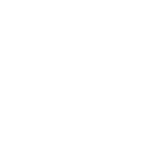 Set of safety keys Icon