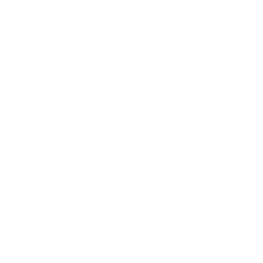 E-STOP XLR cable Icon