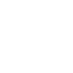 E-STOP Remote Icon